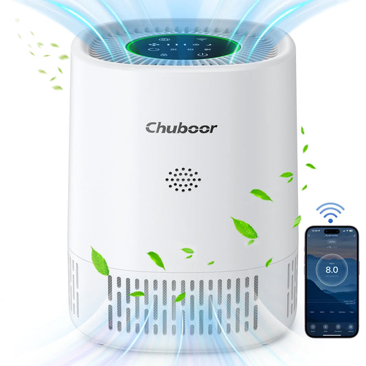 Chuboor Desktop Air Purifier Removes Dust Pet Dander Odor